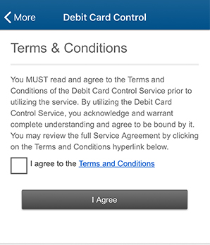 Debit Card Control Step 2 - Read and Accept the Terms and Conditions in Mobile App