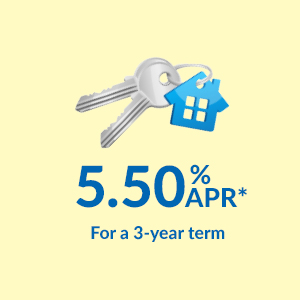Home renovations and much more