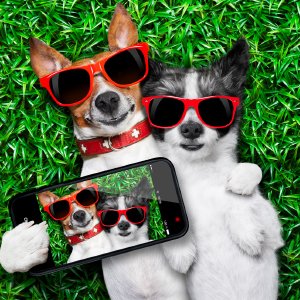 Enter our 2024 wall calendar photo contest